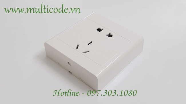 O Cam Dien G09z223 Bull 5 Chau
