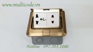 O Cam Am San Bull Gd1z225