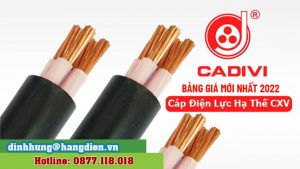 Logo Cap Dien Luc Ha The Cxv 0.6 1kv Cadivi