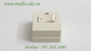 Cong Tac Don B Loai Noi Wsg3001 Panasonic