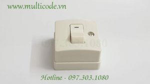 Cong Tac Loai Noi Don B Panasonic Wsg3001
